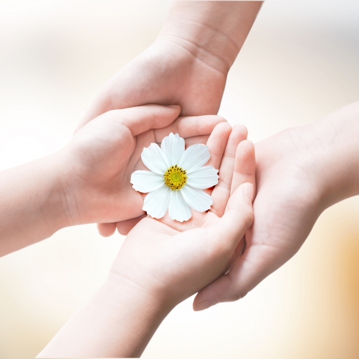 チームで支える介護の形